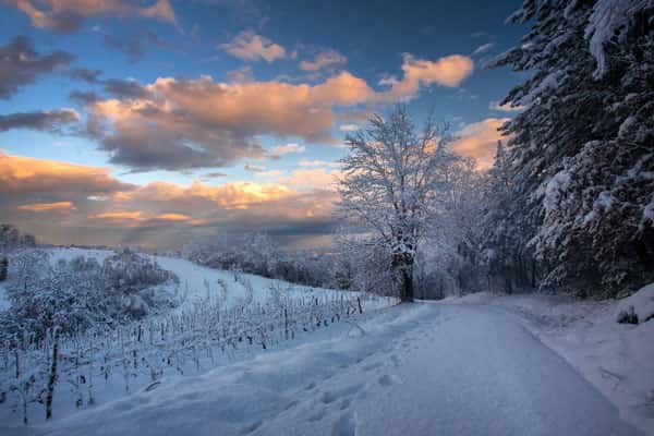 В Москве и Подмосковье ожидаются крещенские морозы до −30 градусов