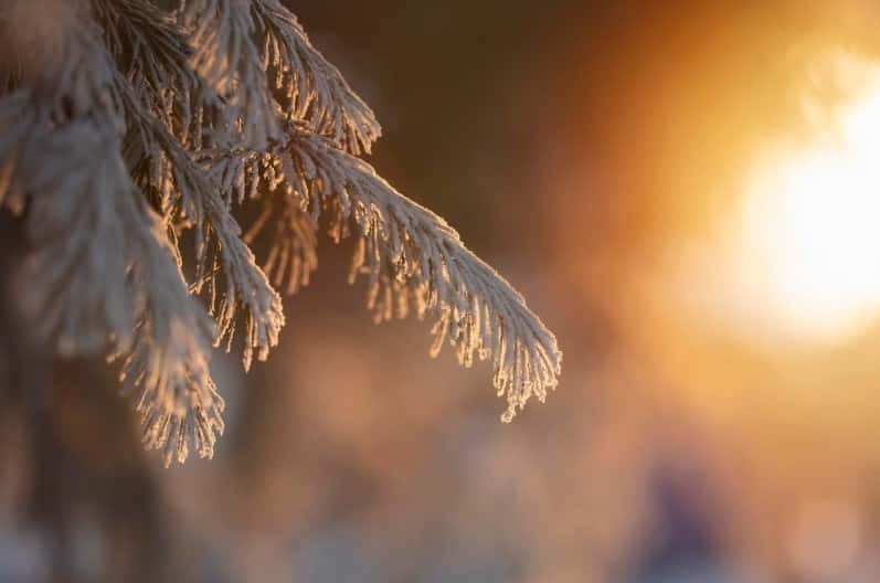 Самая морозная ночь с начала зимы пришла в Москву